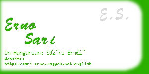 erno sari business card